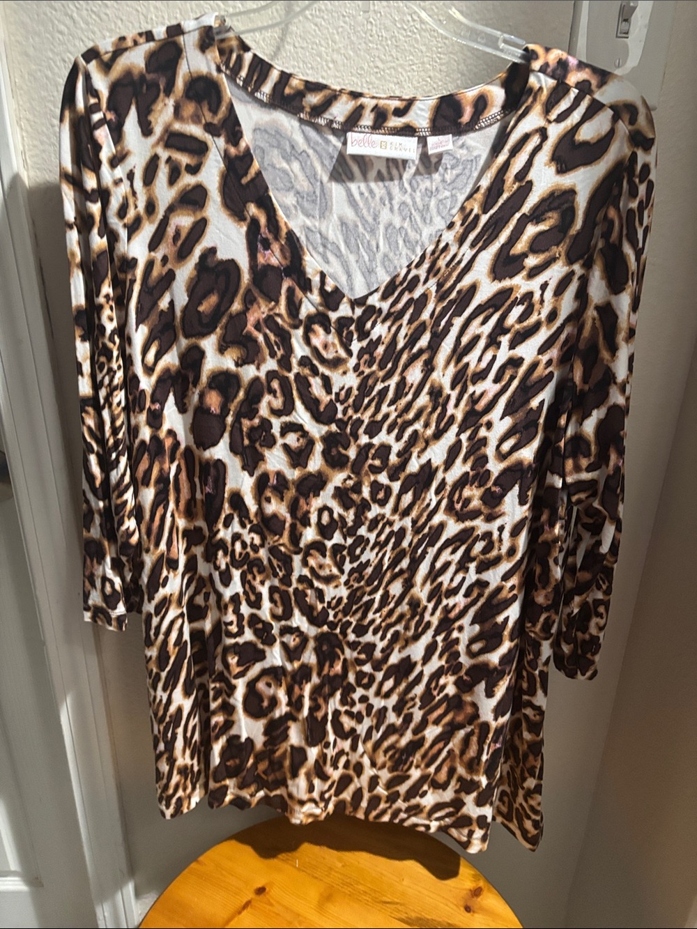 Belle by Kim Gravel Leopard-Print V-Neck Tunic in Brown and Black L